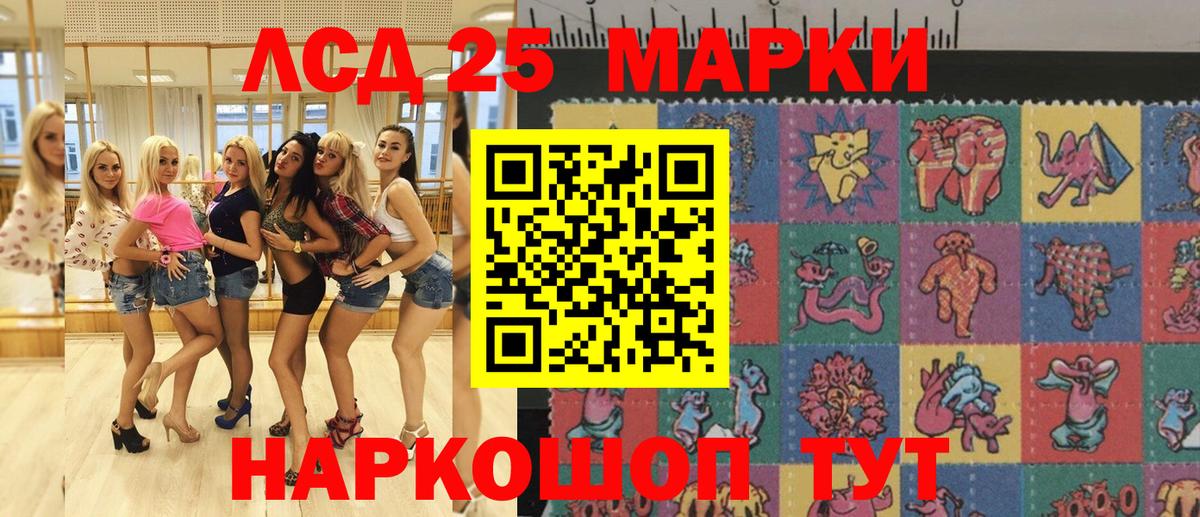 Бошки Шишки Владимир