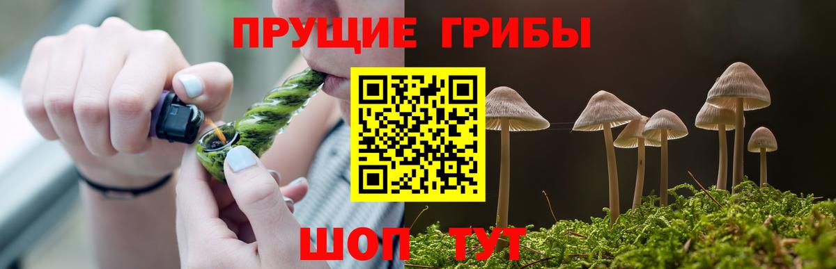 Псилоцибиновые грибы GOLDEN TEACHER Владимир