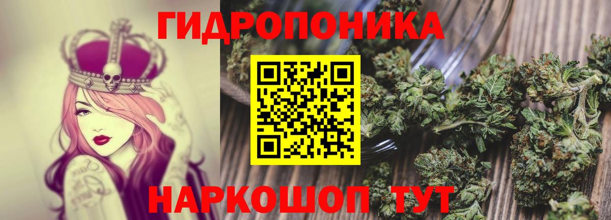 Марихуана план  Бошки Шишки THC 21%  Конопля семена  Вход с VPN  Владимир 
